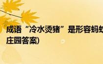 成语“冷水烫猪”是形容蚂蚁庄园(成语冷水烫猪是形容蚂蚁庄园答案)