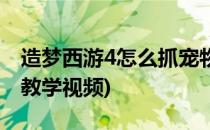 造梦西游4怎么抓宠物(造梦西游4怎么抓宠物教学视频)