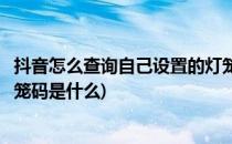 抖音怎么查询自己设置的灯笼码(抖音怎么查询自己设置的灯笼码是什么)