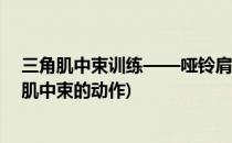 三角肌中束训练——哑铃肩上推举 图解+视频(哑铃练三角肌中束的动作)