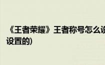 《王者荣耀》王者称号怎么设置(《王者荣耀》王者称号怎么设置的)