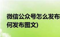 微信公众号怎么发布图文信息(微信公众号如何发布图文)