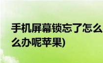 手机屏幕锁忘了怎么办呢(手机屏幕锁忘了怎么办呢苹果)