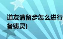 道友请留步怎么进行武器铸金(道友请留步装备铸灵)