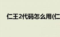 仁王2代码怎么用(仁王2代码怎么用不了)