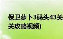 保卫萝卜3码头43关攻略(保卫萝卜3码头43关攻略视频)