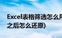 Excel表格筛选怎么用(excel表格筛选怎么用之后怎么还原)