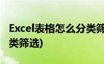 Excel表格怎么分类筛选(表格里面怎么可以分类筛选)