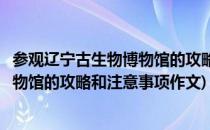 参观辽宁古生物博物馆的攻略和注意事项(参观辽宁古生物博物馆的攻略和注意事项作文)