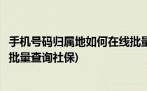 手机号码归属地如何在线批量查询(手机号码归属地如何在线批量查询社保)