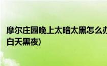 摩尔庄园晚上太暗太黑怎么办晚上怎么变亮(摩尔庄园怎么调白天黑夜)