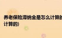 养老保险滞纳金是怎么计算的(山东省养老保险滞纳金是怎么计算的)