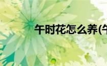 午时花怎么养(午时花怎么养护)