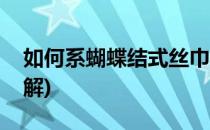 如何系蝴蝶结式丝巾(如何系蝴蝶结式丝巾图解)