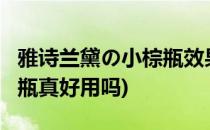 雅诗兰黛の小棕瓶效果怎么样?(雅诗兰黛小棕瓶真好用吗)