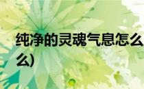 纯净的灵魂气息怎么用(灵魂气息的意思是什么)