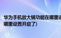 华为手机放大镜功能在哪里设置开启(华为手机放大镜功能在哪里设置开启了)