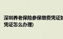 深圳养老保险参保缴费凭证如何办理(深圳养老保险参保缴费凭证怎么办理)