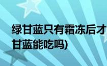 绿甘蓝只有霜冻后才能吃上的“穷人菜”(绿甘蓝能吃吗)