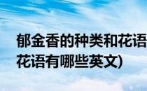 郁金香的种类和花语有哪些(郁金香的种类和花语有哪些英文)