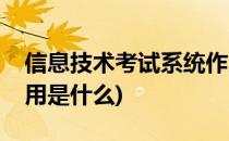 信息技术考试系统作用(信息技术考试系统作用是什么)