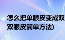 怎么把单眼皮变成双眼皮(怎么把单眼皮变成双眼皮简单方法)