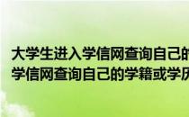 大学生进入学信网查询自己的学籍或学历的步骤(大学生进入学信网查询自己的学籍或学历的步骤是)