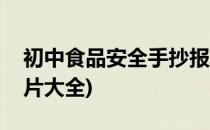 初中食品安全手抄报(初中食品安全手抄报图片大全)