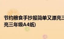 节约粮食手抄报简单又漂亮三年级(节约粮食手抄报简单又漂亮三年级A4纸)