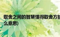 取舍之间的智慧懂得取舍方能从容进退(取舍之间彰显智慧什么意思)