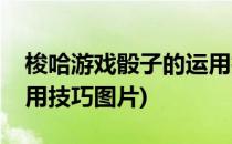 梭哈游戏骰子的运用技巧(梭哈游戏骰子的运用技巧图片)