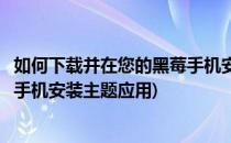 如何下载并在您的黑莓手机安装主题(如何下载并在您的黑莓手机安装主题应用)