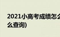 2021小高考成绩怎么查(2021小高考成绩怎么查询)