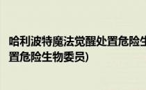 哈利波特魔法觉醒处置危险生物委员会在哪里(哈利波特中处置危险生物委员)