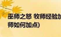 巫师之怒 牧师经验加点PK总结及汇心得(巫师如何加点)