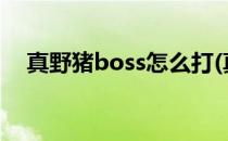 真野猪boss怎么打(真野猪boss怎么打?)