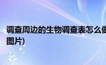 调查周边的生物调查表怎么做(调查周边的生物调查表怎么做图片)