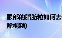 眼部的脂肪粒如何去除(眼部的脂肪粒如何去除视频)