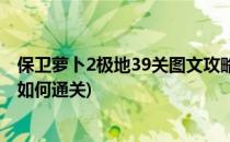 保卫萝卜2极地39关图文攻略保证一次过(保卫萝卜2第39关如何通关)