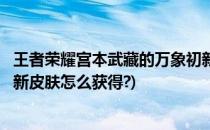 王者荣耀宫本武藏的万象初新皮肤如何获得(宫本武藏万象初新皮肤怎么获得?)