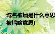 域名被墙是什么意思域名被墙查询检测(域名被墙啥意思)