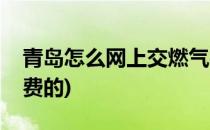 青岛怎么网上交燃气费(青岛怎么网上交燃气费的)