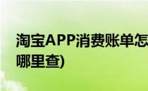 淘宝APP消费账单怎么查看(淘宝app账单在哪里查)