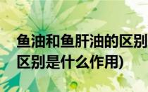 鱼油和鱼肝油的区别是什么(鱼油和鱼肝油的区别是什么作用)