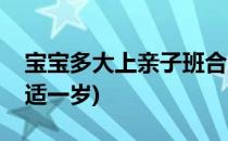 宝宝多大上亲子班合适(宝宝多大上亲子班合适一岁)