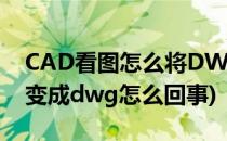 CAD看图怎么将DWG转换成DXF(CAD看图变成dwg怎么回事)