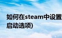 如何在steam中设置启动项(steam怎么设置启动选项)