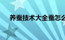 养蚕技术大全蚕怎么养?(怎样养蚕技术)