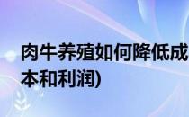 肉牛养殖如何降低成本(肉牛养殖如何降低成本和利润)