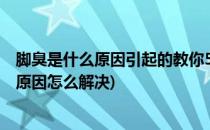 脚臭是什么原因引起的教你5个解决脚臭的方法(脚臭是什么原因怎么解决)